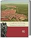 Carnuntum: Wiedergeborene Stadt der Kaiser (Zaberns Bildbände zur Archäologie) by