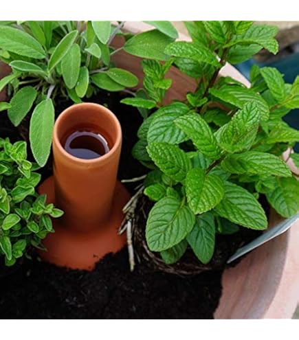 Bio Green Hydro Cup Set - 4 Coni Di Argilla E Serbatoi Da 2.5 Litri, Per Irrigazione Efficiente, Verde - Foto 12