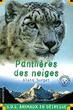 Panthère des neiges