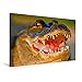 Produktbild Premium Textil-Leinwand 90 cm x 60 cm quer, Furchteinflössend - ein Mississippialligator mit geöffnetem Maul | Wandbild, Bild auf Keilrahmen, ... Bend State Park, Texas, USA (CALVENDO Tiere)