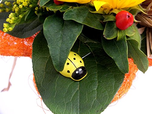 VERSANDKOSTENFREI Blumenstrauß „Sonnenlicht“ + kostenlose Glückwunschkarte - 4