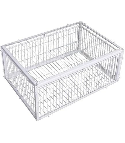 Gabbia In Acciaio Zincato Per Cattura E Rilascio Piccioni E Colombi, 100x60x33 Cm, Con 2 Entrate Antifuga E Apertura Superiore A Molla
