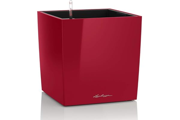 Lechuza – Pot de Fleurs d'Interieur – Premium Cube – Réserve d'Eau Intégrée – Coloris Rouge Scarlet – 30 x 30 x 30 cm