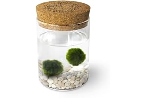 Marimo Original Cork Legend - Pair (White Base)