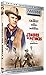 A l'ombre des potences (DVD)
