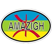 Adesivi Resinati Cranio Skull Bandiera Slovenia Auto Moto Sticker Tablet 3D - Foto 7