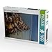 Produktbild Buhne aus Steinen am Ostseestrand 1000 Teile Puzzle Hoch