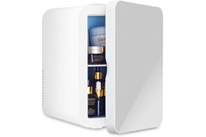 ARTETHYS Mini Fridge for Bedrooms 10L Compact Car Fridge Mini Refrigerator with System Cooler and Warmer for Home Office, 220V AC/12V DC, Silver