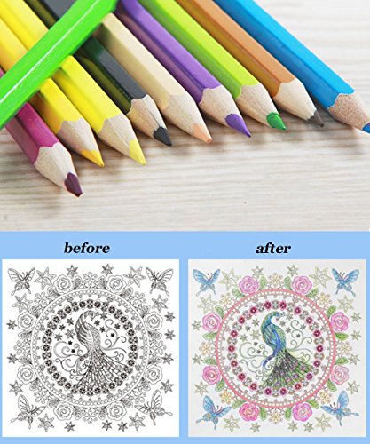 Feelily 72 Farben Aquarell Bleistift Set / Zeichnung Kunst Wasserlösliche Buntstifte Supplies Roll UP Waschbare Leinwand Bleistift wickeln für Artist Sketch, Aufrollbare Canvas Pencil Case Included - 5