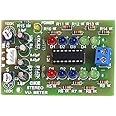 CKE KA2281/CD2281 Stereo Audio Level Indicator Ready Module Sound Audio Spectrum Analyzer DC-12V (5 + 5 Segment) PCB