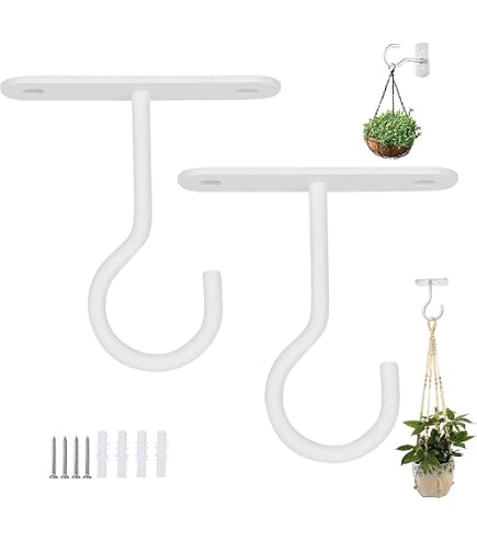 indoor potting plants Golden Pothos For Sale | Indoor Plants main image 0