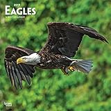 Eagles - Adler 2019 - 18-Monatskalender (Wall-Kalender) by 