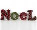 Bloom Decorative Noel Letters Pine Cones Foliage Silver Birch Twigs Faux Berries