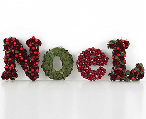 Bloom Decorative Noel Letters Pine Cones Foliage Silver Birch Twigs Faux Berries