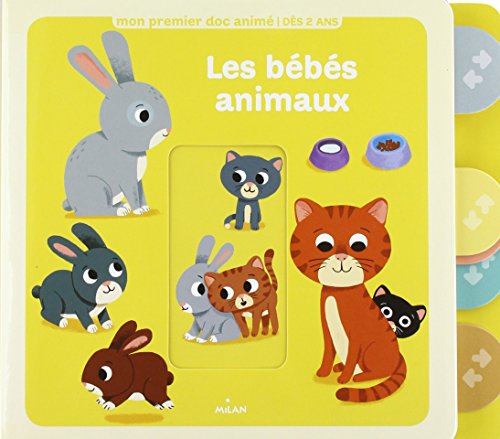 couverture de : Les b&eacute;b&eacute;s animaux