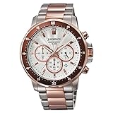 J. Springs Herren-Armbanduhr Sports chronograph Quarz Edelstahl BFC003