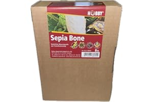 Hobby Terraristik Seppia Bone 15-20 cm I 8 pezzi I sorgente minerale naturale della scuola di calamari I Fonte di calcio per tartarughe terrestri, paludi e acqua, lucertole, roditori e uccelli