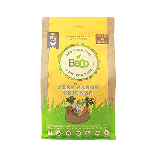 Free Range Chicken with Carrot and Chicory - 12kg - Natural & Grain Free Complete Dry Dog Food