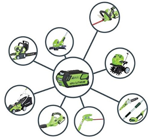 Greenworks Tools VDE 2904607 40V Ladegerät - 2