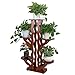 Produktbild CHAOXIAN Gartenregal Blumenregal Blumen Regal Gartenregal Pflanzenständer Multilayer Fußstütze Kiefernholz Umweltschutz, 48x24x116cm