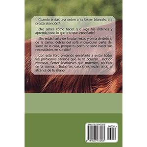Secretos del Setter Irlandes: Perro-Obediente.com
