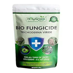 Holy Green - Nurture the Future Bio Fungicide Trichoderma Viride Powder (2x10^8 CFU/g) - 250 g for Soil, Seeds and Plants - Controls Both Seed and Soil borne pathogens, Root Rot and Wilt