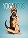 Yoga Dogs 2015 by 