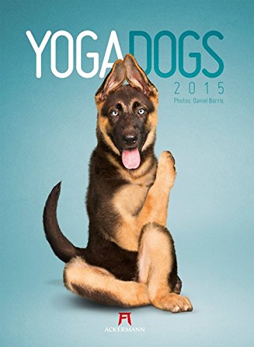 Yoga Dogs 2015