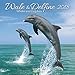 Produktbild Wale und Delfine 2018: Broschürenkalender mit Ferienterminen. Tierkalender von Fischen. 30 x 30 cm