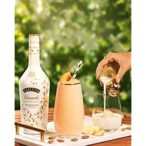 Como-servir-baileys