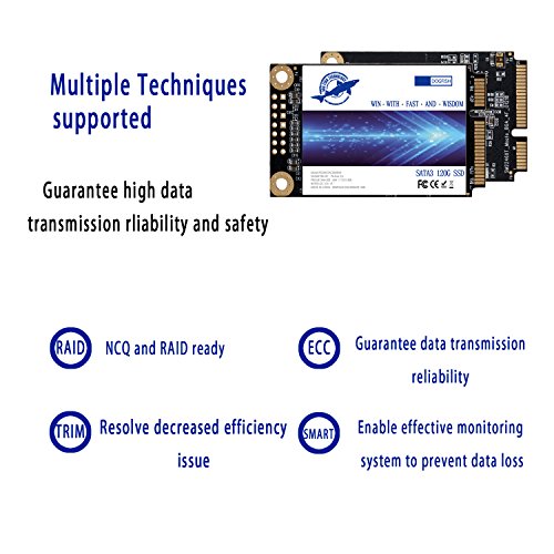 Dogfish Msata 480GB Unidad de Estado S  lido Interna Mini Sata SSD Disk  480GB 