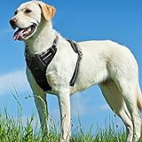 Hundegeschirr Geschirr für große kleine mittlere Hunde No Pull Brustgeschirr Anti Zug Dog Harness Sicherheitsgeschirr Welpengeschirr Ring Vorne Ausbruchsicher Autogeschirr mit Brustring Sport Soft Weich Gepolstert Atmungsaktiv Sicher Schwarz L