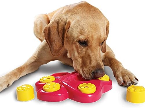 Dog Toys Interactive Toy Puzzle for Dogs food box Bowl Interactive Fun Looking For Treasure food Train The Dog's Wisdom