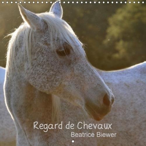 Regard De Chevaux 2018: Toute La Douceur Dans Le Regard D'un Cheval gratuit Regard De Chevaux 2018: Toute La Douceur Dans Le Regard D'un Cheval gratuit
