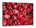 Produktbild 1art1 110132 Rosen - Rote Rosen, Blütenmeer Poster Leinwandbild Auf Keilrahmen 30 x 20 cm