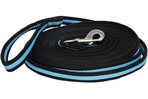 Rhinegold Carnival Lunge Rein