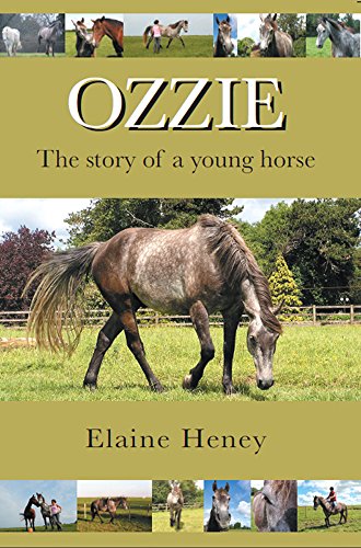 Ozzie: The Story of a Young Horse (English Edition) livre