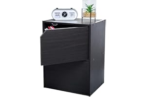 Iris Ohyama, Coqueta / Mueble con puertas / Mueble con baldas / Librería / Mueble con 2 puertas, Modular, Diseño, Oficina, Casa - Module Shelf - MDB-2D - Roble negro