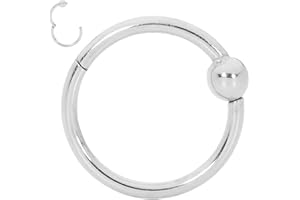 365 Sleepers 20G 18G 16G 14G Acero quirúrgico 6 mm - 10 mm BCR Cierre de bola Septum Segmento con bisagras Nariz Labio Anillo Aro Pendientes unisex Joyería para piercing corporal