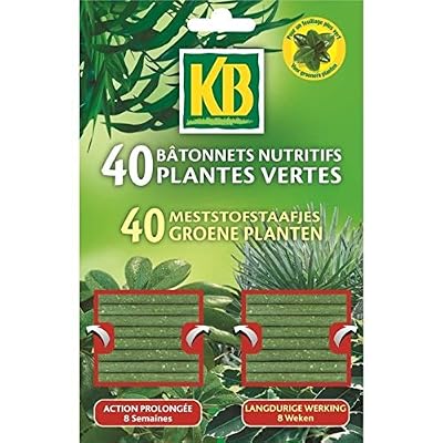 KB JARDIN BATONNETS PLANTES VERTES KB X40 /NCA