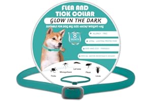Pets4Luv Collier Anti-puces pour Chiens, Collier Anti-puces Naturel pour Chiens, 8 Mois de Protection, Taille Unique pour Tous Les Chiens, Design étanche Brillant, 1PC