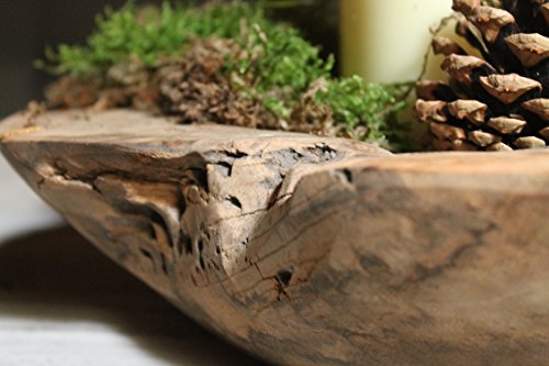 Trendy-Home24 Teakschale Wurzelholz Lavinia Holz Obst Schale massiv rund Ø 35 cm Dekoschale - 4