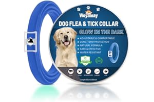 WOYAMAY Collier Anti-Puce Chien Lumineux Et Doux - Colliers Anti-Puces pour Chiens, Résistants À l'eau pour Protection Continue Contre Les Parasites, Bleu foncé