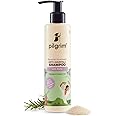 Pilgrim Spanish Rosemary & Biotin Anti Hairfall Shampoo for Reducing Hair Loss & Breakage 200ml | Rosemary shampoo for hair growth | Upto 95% stronger hairs | For all hair types | For Men & Women