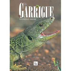 La Garrigue grandeur nature Livre en Ligne La Garrigue grandeur nature Livre en Ligne - Telecharger Ebook