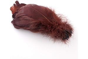 Sowder Piume d'oca naturali, accessori per abbigliamento, confezione da 100 (caffè)