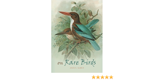 On Rare Birds Amazon De Albus Anita Fremdsprachige Bucher
