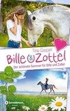 Image de Bille und Zottel - Der schönste Sommer für Bille und Zottel