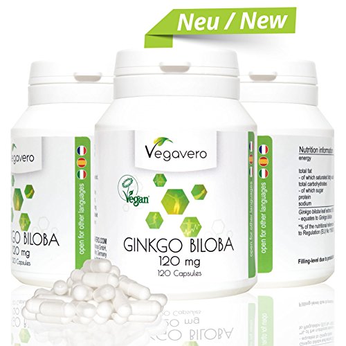 NEW: Ginkgo Biloba Extract | 6000 mg per Capsule (10:1 Extract), 120 Capsules | Antioxidant, Eye Health, Impro