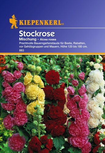 Sperli Blumensamen Stockrosen Mischung, grün